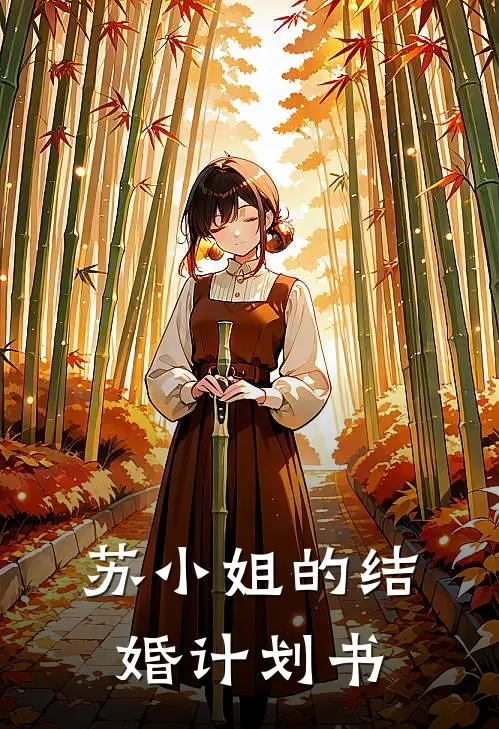苏小姐的结婚计划书