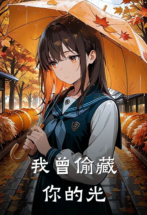 我曾偷藏你的光